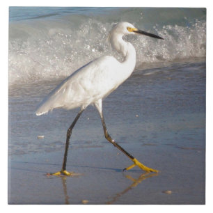 Azulejo Tile Egret Blanco