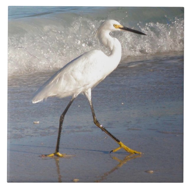 Azulejo Tile Egret Blanco (Frente)