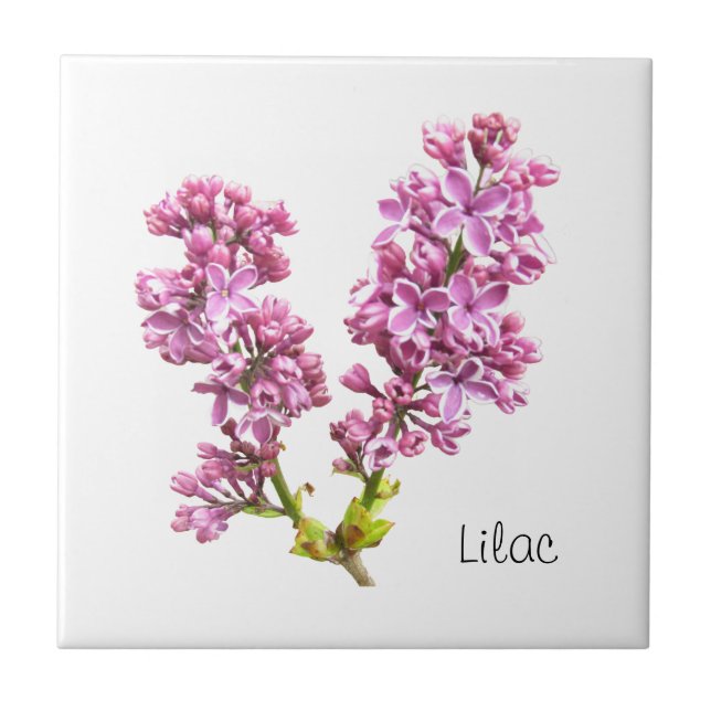 Azulejo Tile - Flores de Lilac (Frente)
