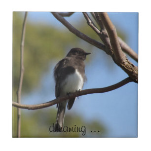 Azulejo Tile - Flycatcher