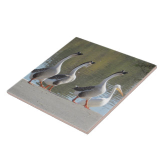 Azulejo Tile - Geese de desplazamiento