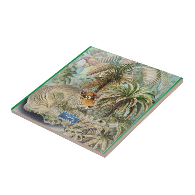 Azulejo Tile Mediano-Verde (Fiebre de la Selva) RFPMDesign (Lado)