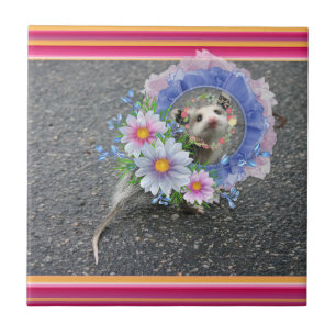 Azulejo Tile Opossum Floral Stripe cerámica