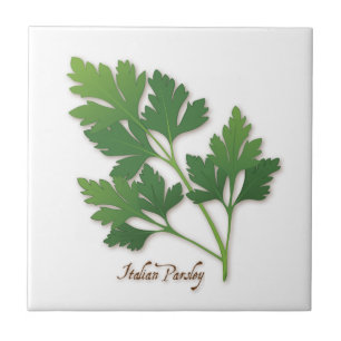 Azulejo Tile Parsley Herb Italiano