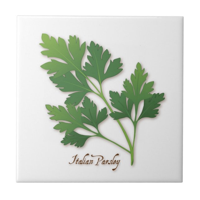 Azulejo Tile Parsley Herb Italiano (Frente)