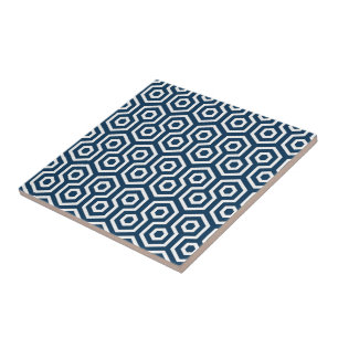 Azulejo Tile Trivet