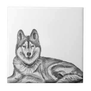 Azulejo Tinta negra y blanca y husky siberiano de acuarela