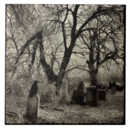 Azulejo Todos los cuervos de la víspera de Hallow
