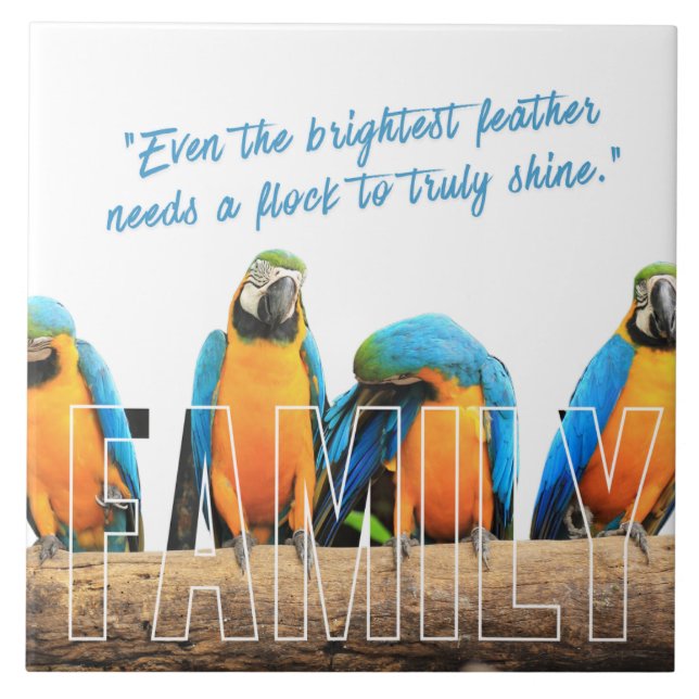 Azulejo "Together We Shine" (Frente)