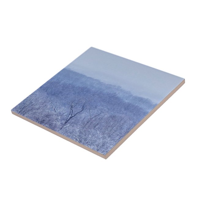 Azulejo Tonos azules (Lado)