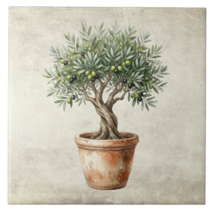 Azulejo Topiaria de olivo acuarelas mediterráneas rústicas