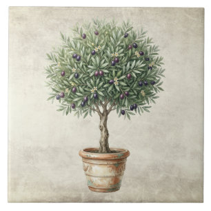 Azulejo Topiaria de olivo de Toscana Mediterráneo