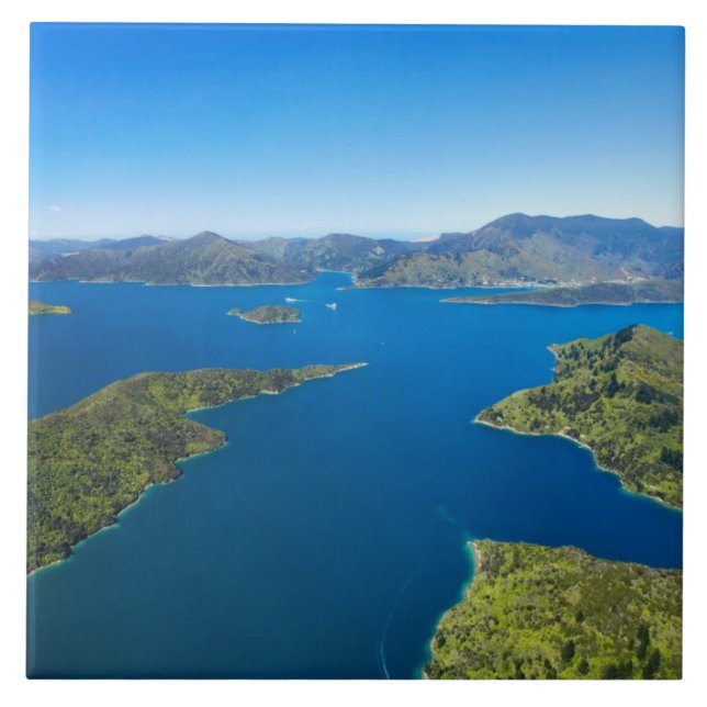 Azulejo Torea Bay, Queen Charlotte Sound, Marlborough (Frente)