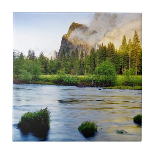 Azulejo Tormenta del claro (Frente)