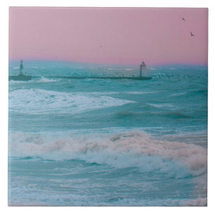 Azulejo Tormenta natural de Sea Ocean Velddrif en Sudáfric