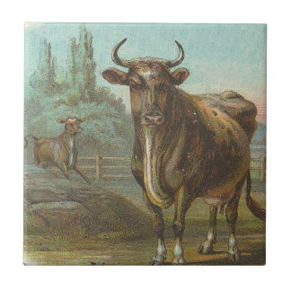 Azulejo Toro
