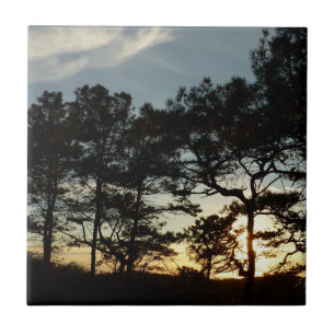 Azulejo Torrey Pine Sunset II California