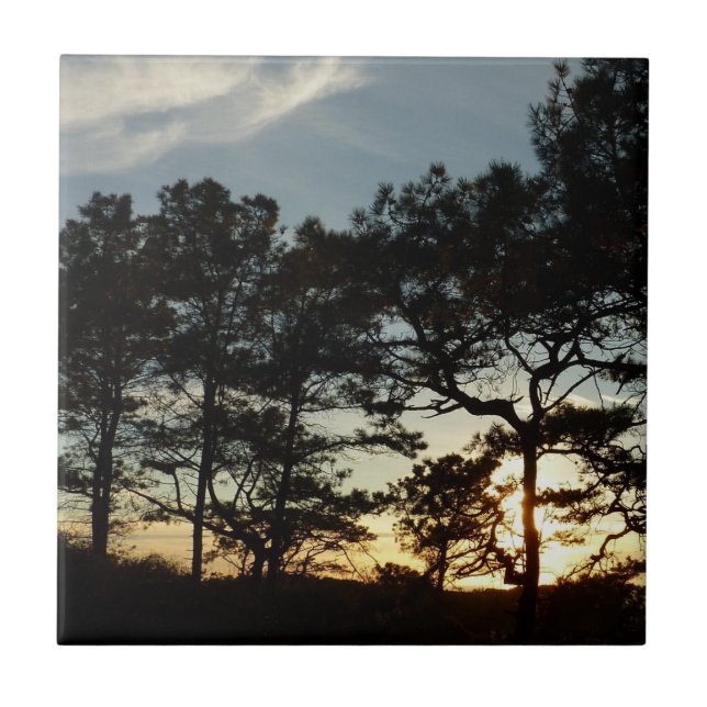 Azulejo Torrey Pine Sunset II California (Frente)