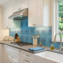 Tortuga de Boho costero