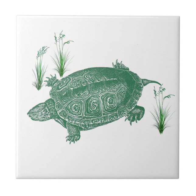 Azulejo Tortuga marina verde (Frente)