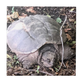 Azulejo Tortuga Tile Cerámico