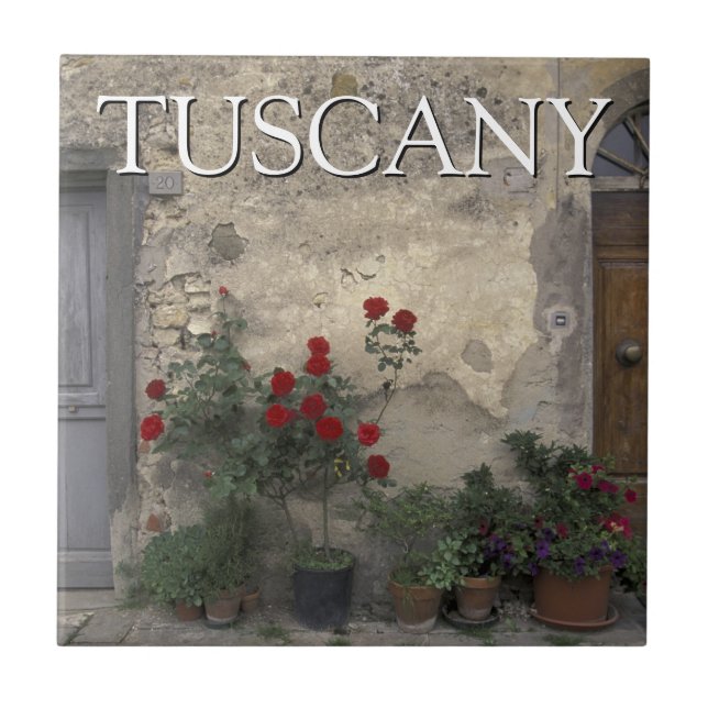 Azulejo Toscana, Italia | Puerta toscana (Frente)