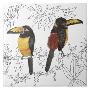 Azulejo Toucans en un mosaico cerámico (W)