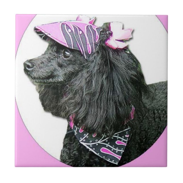 Azulejo Toy Poodle Dog (Frente)