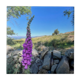 Azulejo Tranquilidad del campo inglés