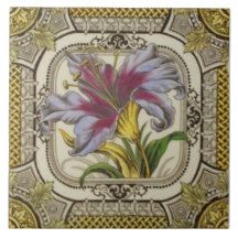 TransferirWare con color mano y gancho