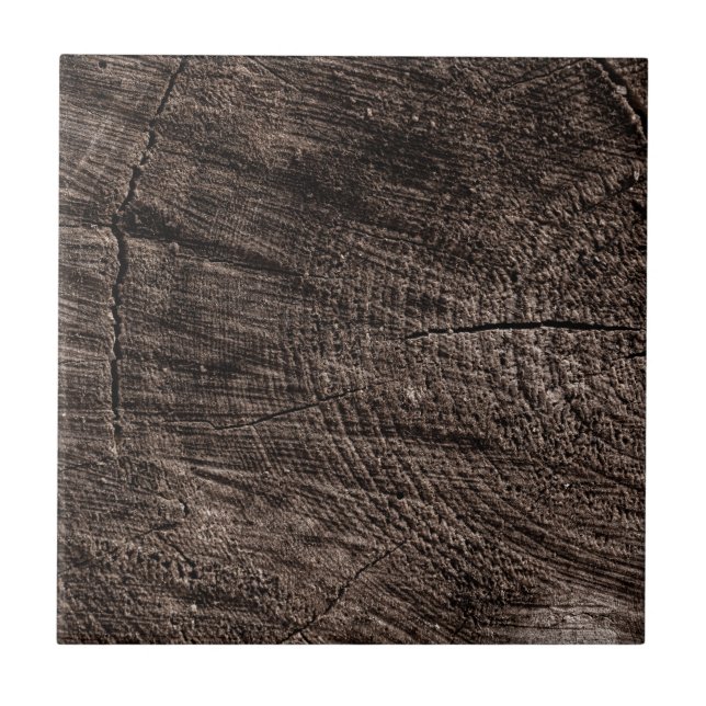 Azulejo Tree Stump (Frente)