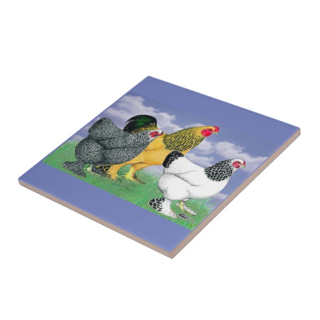 Azulejo Tres Brahmas (Lado)