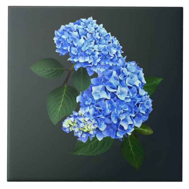 Azulejo Tres Hydrangea azul (Frente)