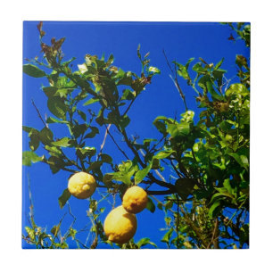 Azulejo Tres limones sicilianos