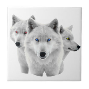 Azulejo Tres lobos blancos