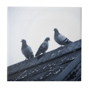 Azulejo Tres palomas en un tejado