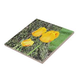 Azulejo Tres tulipanes amarillos /