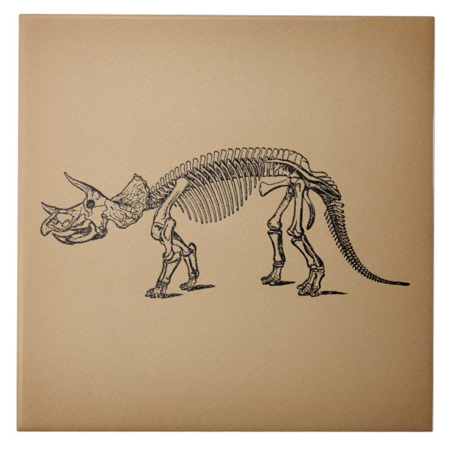 Azulejo Triceratops Dinosaur Skeleton Arte Prehistórico (Frente)