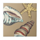 Azulejo Trío de Shell en Khaki<br><div class="desc">Megan Meagher es conocida por sus simples obras de arte. Esta es una gran imagen de arte decorativo que captura la vida marina con una estrella de mar amarilla y una concha de concha azul y roja. Obtén esta buena impresión de arte hoy en color caqui en tu producto Zazzle....</div>