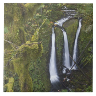 Azulejo Triple Falls, desfiladero del río Columbia