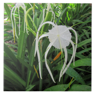 Azulejo Trívet de mosaico de yeguera Lily
