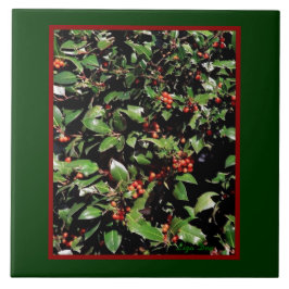 Azulejo Trivet/Tile "Holly & Berries"