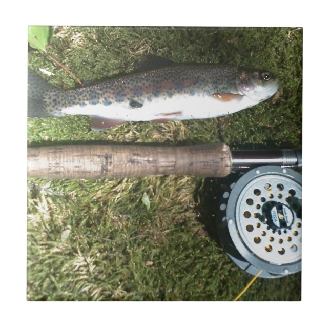 Azulejo trucha arco iris y carrete de pesca con mosca (Frente)