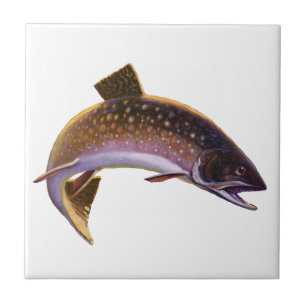 Azulejo Trucha de arroyo, pescador de pesca deportiva vint