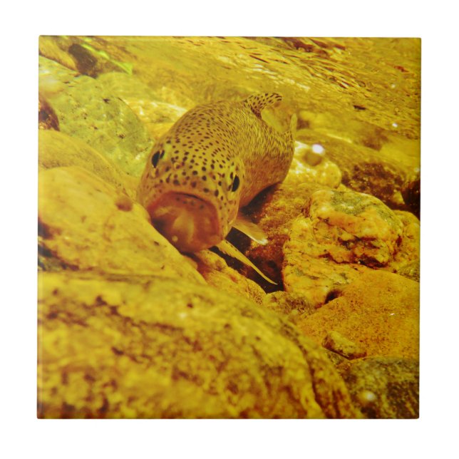 Azulejo Truco en la corriente (Frente)