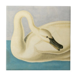 Azulejo Trumpeter Swan de John James Audubon, ave vintage