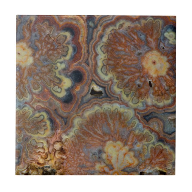 Azulejo Tubo de Floración Ónix (Frente)