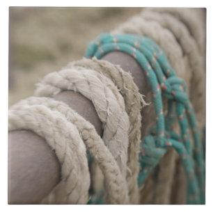 Azulejo Tucson, Arizona: Cuerdas y hanrnesses usados