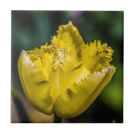 Azulejo Tulip amarillo