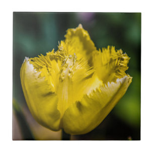 Azulejo Tulip amarillo